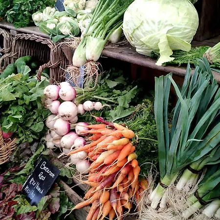 公寓 Ruewellnesssuite I Rue-stern I Messe I Klinikum *